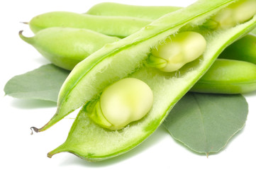 Poster - Broad Beans Close-up