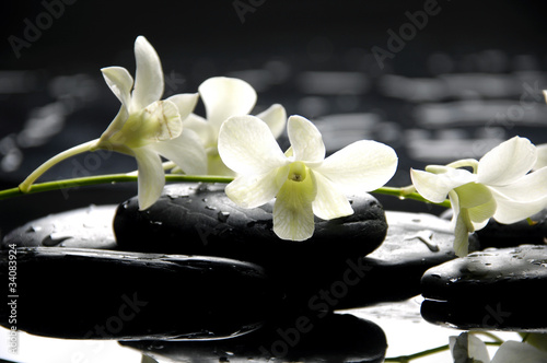 Tapeta ścienna Kamienie zen i storczyki oddział z refleksji