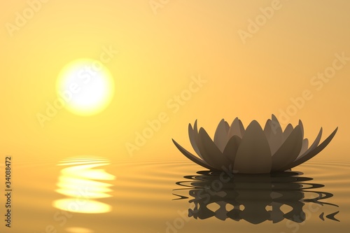 Naklejka - mata magnetyczna na lodówkę Zen flower lotus on sunset