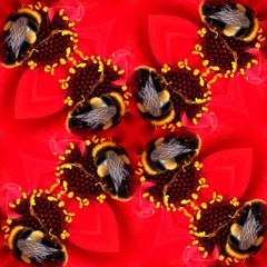 Wall Mural - Seamless Pattern Of A Bee On A Flower