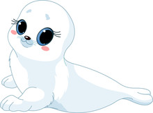 Baby  Seal
