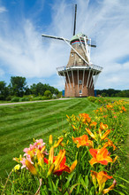 Summer Flowers With Historic Duch Windmill On Background