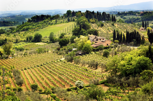 Tapeta ścienna Toskańskie gospodarstwo winnica san gimignano toskania włochy