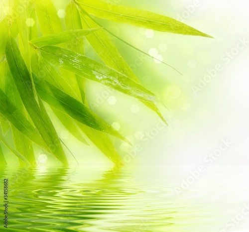 Naklejka - mata magnetyczna na lodówkę Wet bamboo leaves with reflection in water.