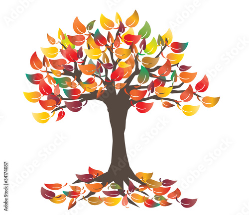 Baum im Herbst Stock-Vektorgrafik | Adobe Stock