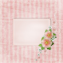 Vintage Card And Pink Mallow