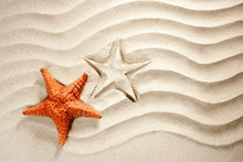Beach White Wavy Sand Starfish Summer Vacation