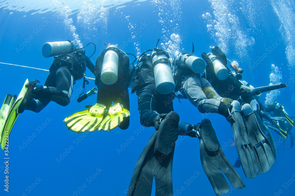 Diver Ropes Divers on a rope underwater Stock Photo | Adobe Stock