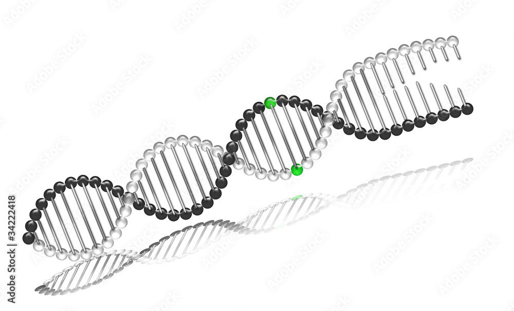 DNA_bw1g - obrazy, fototapety, plakaty 