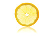 Zitronenscheibe mit Spiegelung