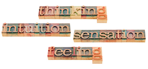 Wall Mural - thinking, feeling, intuition and sensation