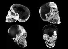 4 Views Of A Crystal Skull
