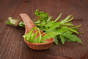 Canvas Print - culinary herbs variation.