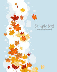 Wall Mural - Autumn leaves