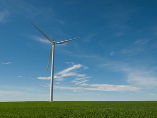 Wall Mural - Wind turbines farm