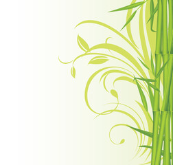 Wall Mural - Green bamboo on the floral background