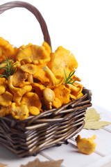 Basket with fresh chanterelle mushrooms on white isolated backgr