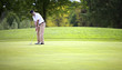 © lichtmeister - Golf player putting on green