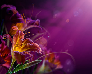 abstract floral background.With copy-space