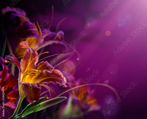 Foto-Duschvorhang nach Maß - abstract floral background.With copy-space (von Konstiantyn)
