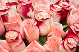 Fototapeta Tulipany - a bouquet of roses