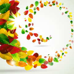 Wall Mural - autumn leaves swirl background.