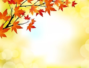 autumn tree background