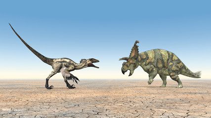 Plakat zwierzę gad pustynia 3d bezdroża