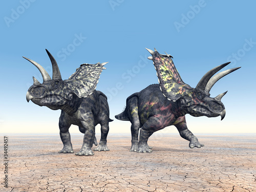 Naklejka - mata magnetyczna na lodówkę Pentaceratops