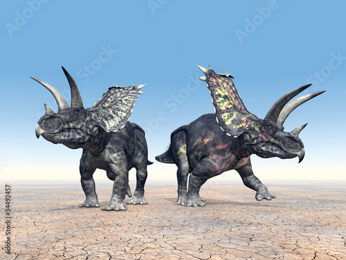 Obraz w ramie Pentaceratops