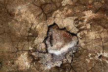 Aged Wall Texture Grunge Broken Weathered Cement