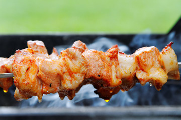 Meat on skewer.