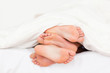 © WavebreakmediaMicro - Stack of feet in a bed
