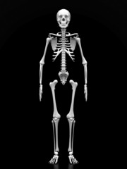 Wall Mural - image of a white, a human skeleton on a black background