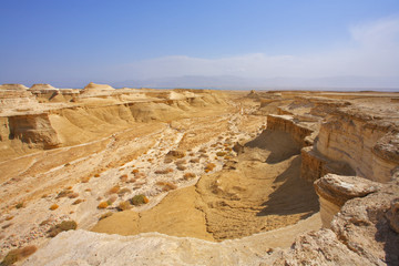 Wall Mural - Dry picturesque canyon near to the Dead Sea