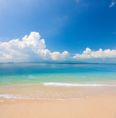 Wall Mural - beach and tropical sea