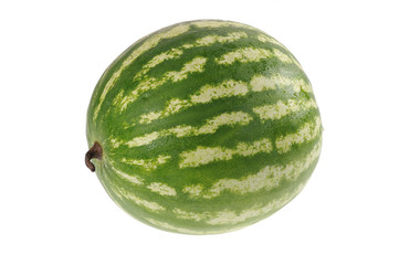 watermelon on a white background