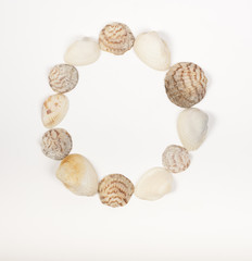 Alphabet letter made from sea shells