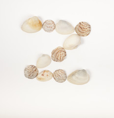 Alphabet letter made from sea shells