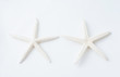 © xy - two starfish
