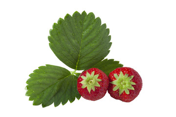 Sticker - Isolated Strawberries