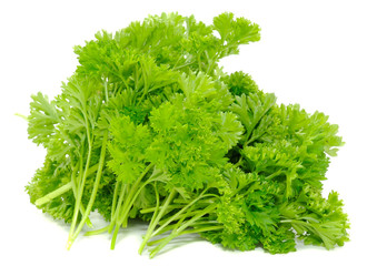 Poster - Bunch of Curly Parsley Isolated on White Background