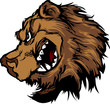 Bear Grizzly Mascot Head Cartoon