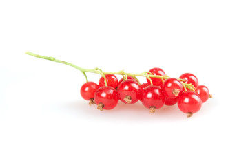 redcurrant