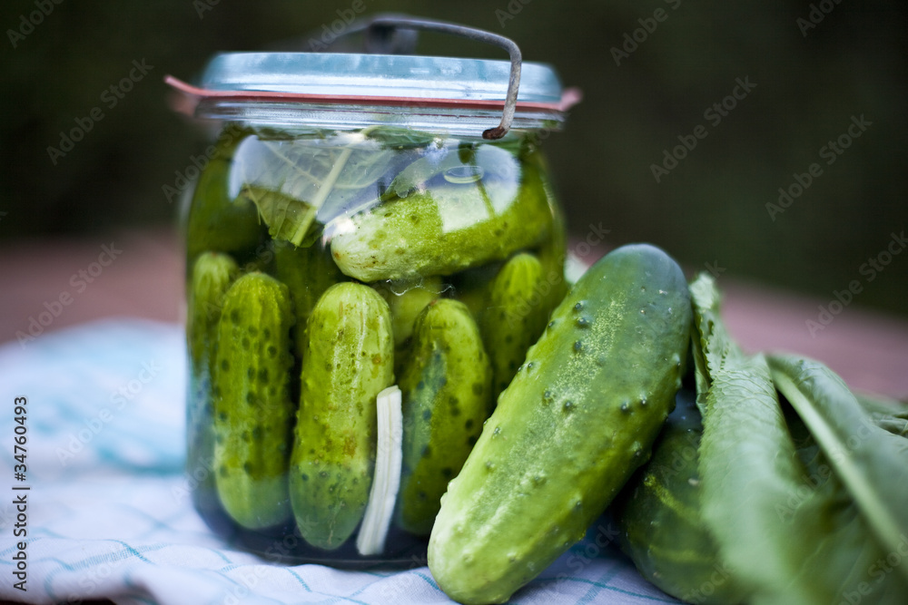 pickled cucumber  / ogórki kiszone lib małosolne - obrazy, fototapety, plakaty 