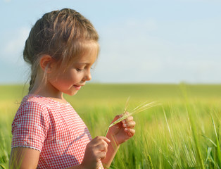 Little girl in wheat field