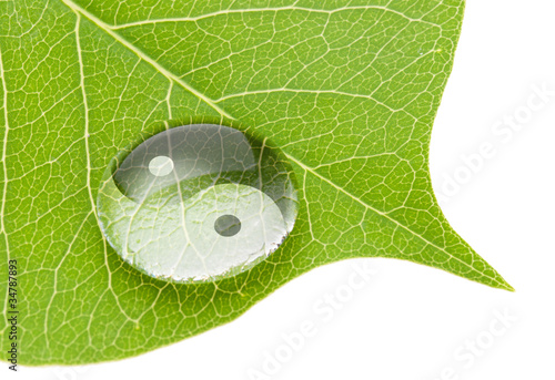 Board z aluminiowym obramowaniem Symbol yin yang na kropli wody