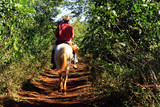 Fototapeta Desenie - Cavalier sur un sentier de la vallée de Vinales à Cuba