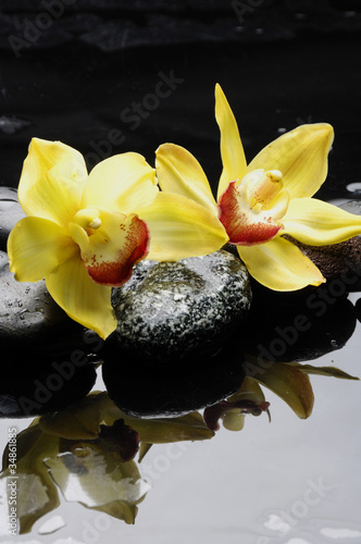 Fototapeta na wymiar Żółte egzotyczne storczyki w wodzie