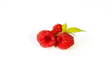 Himbeeren